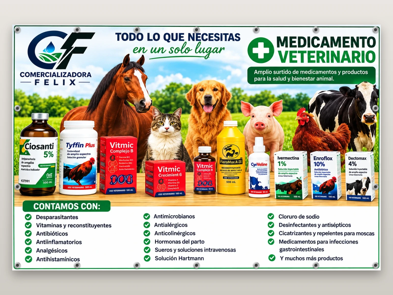 Lona publicitaria impresa en Culiacán